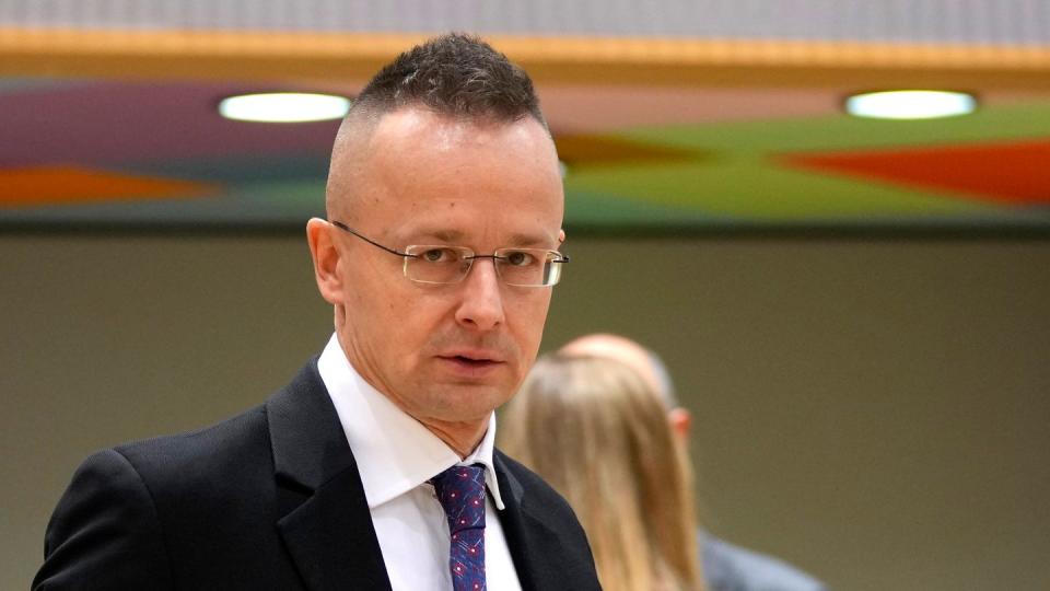 Ungarns Außenminister Peter Szijjarto (Bild: dpa)