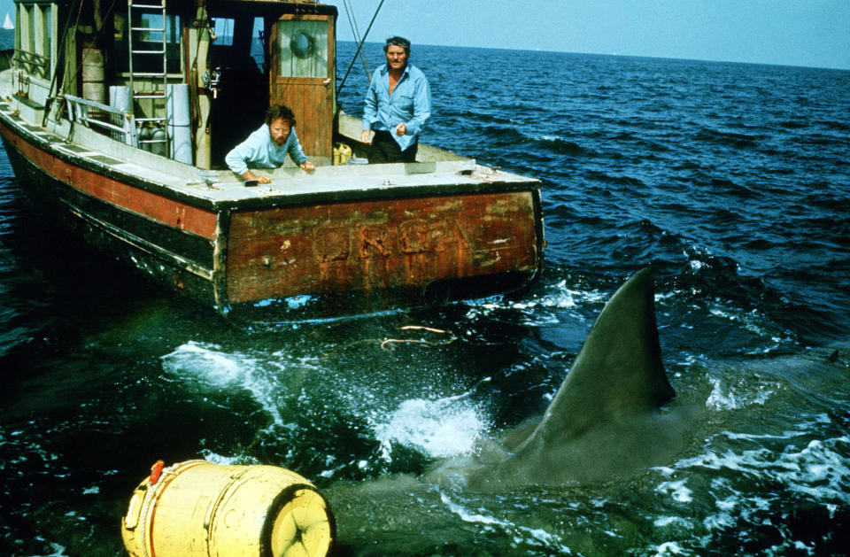 Screen shot from "Jaws"