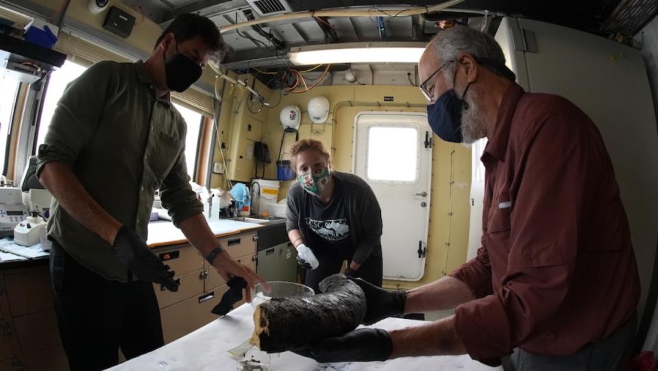 A team of scientists studying a tusk that was pulled from a depth of over 10,000 feet.