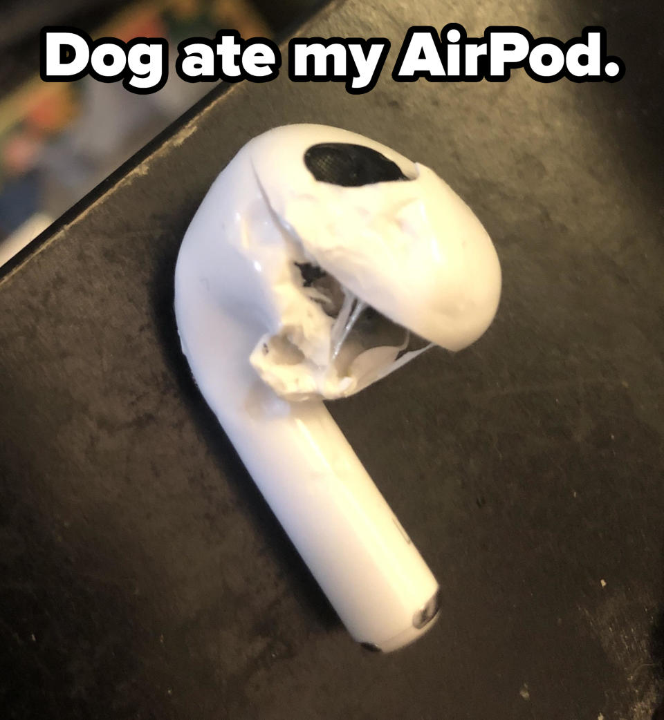 "Dog ate my AirPod," showing a destroyed AirPod