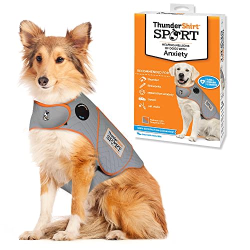 Thundershirt Dogs Clothing Thundershirt Dog Anxiety Jacket (Amazon / Amazon)