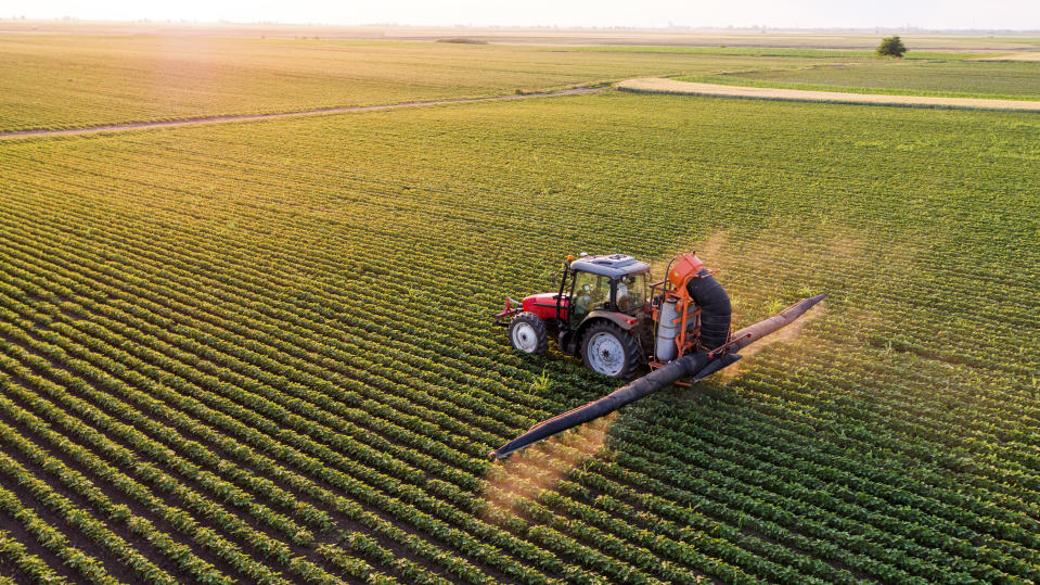 El programa agrícola de la Unión Europea es uno de los mayores sistemas de subsidios a nivel mundial. Foto: Getty Images. 