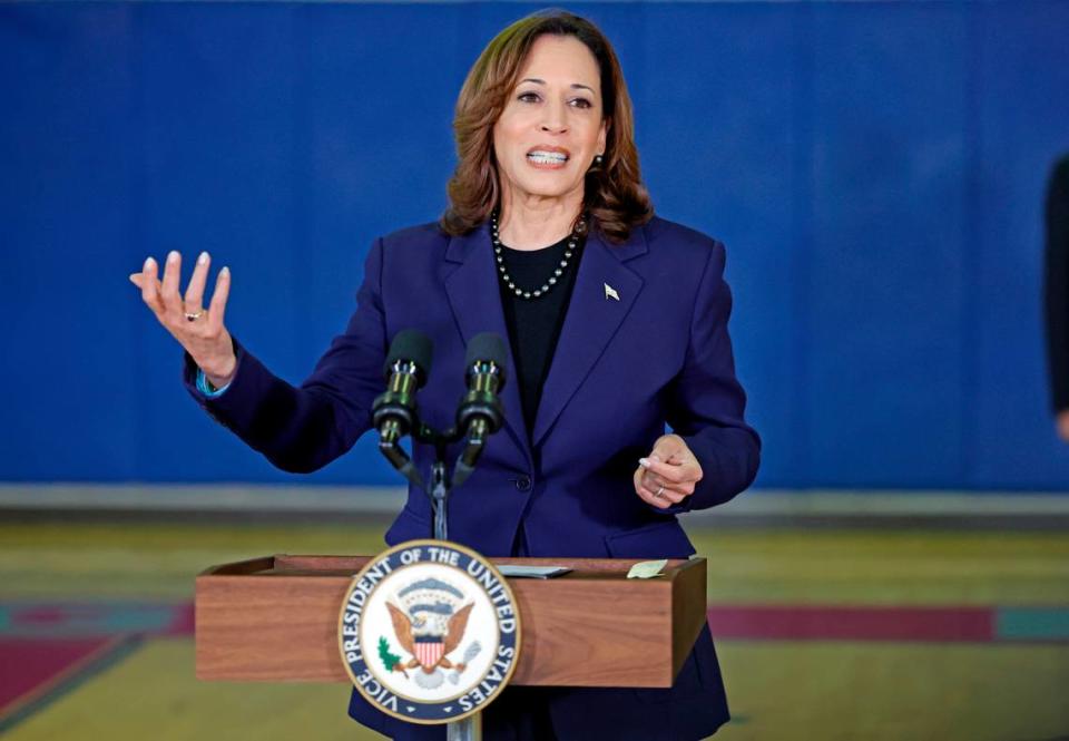 Vice President Kamala Harris speaks to the media after the VP and the White House Office of Gun Violence Prevention met with families whose loved ones were murdered during the 2018 mass shooting that took the lives of 14 students and three staff members at Marjory Stoneman Douglas High School in Parkland, Florida on Saturday, March 23, 2024.