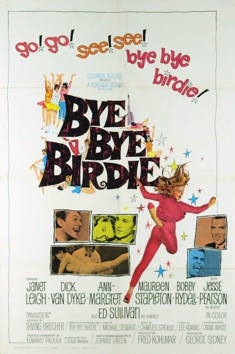 <p>The songs are fantastic, but it's actually Ann-Margret's dancing that grabs your attention in every scene she's in. She plays a teen whose small town life is turned upside down when she's chosen to help send off her favorite singer, Conrad Birdie, to the army. Dick Van Dyke and Janet Leigh also star.</p><p><a class="link " href="https://www.amazon.com/Bye-Birdie-Janet-Leigh/dp/B001G5RFHE/ref=sr_1_1?tag=syn-yahoo-20&ascsubtag=%5Bartid%7C10063.g.34344525%5Bsrc%7Cyahoo-us" rel="nofollow noopener" target="_blank" data-ylk="slk:WATCH NOW;elm:context_link;itc:0;sec:content-canvas">WATCH NOW</a></p>