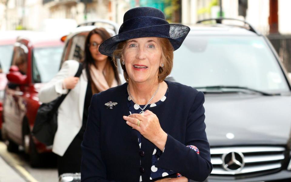 Prince Harry's Godmother Lady Celia Vestey in 2013