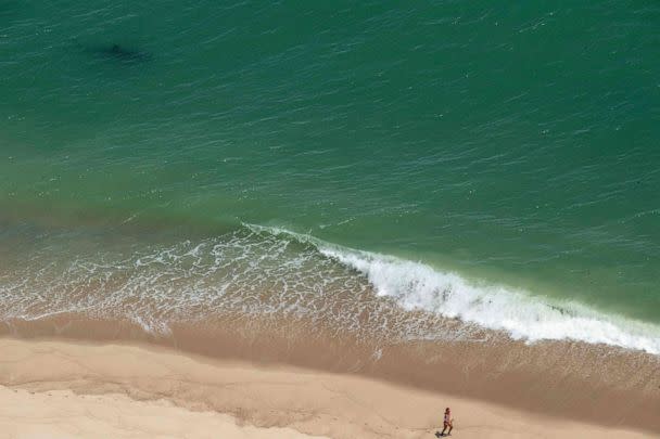 PHOTO: A person runs along the shore as a Great White Shark swims just meters away on the Cape Cod National Sea Shore on the eastern side of Cape Cod, Mass. on July 15, 2022. (Joseph Prezioso/AFP via Getty Images)