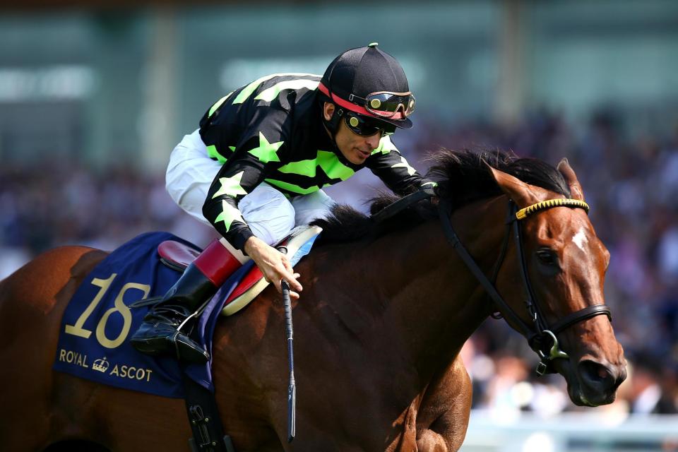 Lady Aurelia rides clear to win the King's Stand Stakes in 2017: Getty Images for Ascot Racecours