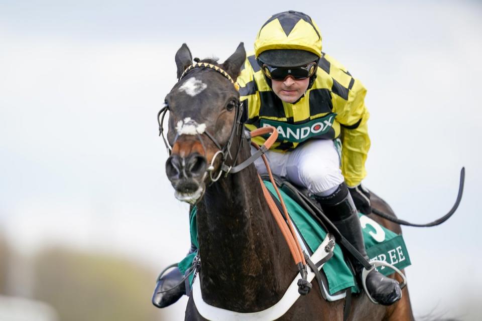 The 10-year-old was due to contest the Ladbrokes Punchestown Gold Cup this week (PA Wire)