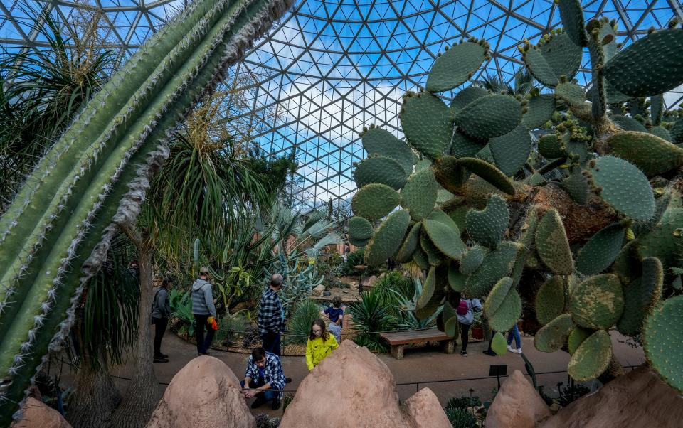 Many people observe the Desert Dome Saturday, April 16, 2022, during the ’Senses’ Spring Floral Show at the Mitchell Park Domes located at 524 S. Layton Blvd., Milwaukee.