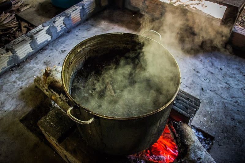 Decocción de ayahuasca en Iquitos, Perú. (Imagen Creative Commons vista en Wikipedia).