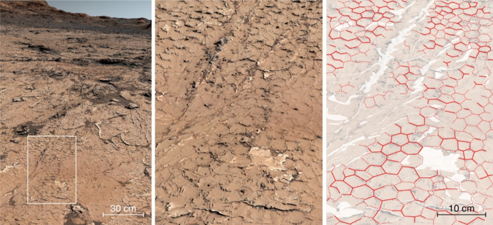 Patrón fósil de arrugas poligonales observado y analizado por Curiosity en el día 3154ᵉ de su avance por los estratos sedimentarios del cráter Gale en Marte. NASA/JPL-Caltech/MSSS/IRAP/LGL-TPE