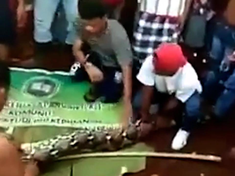 Woman swallowed whole by 23-foot python in Indonesia
