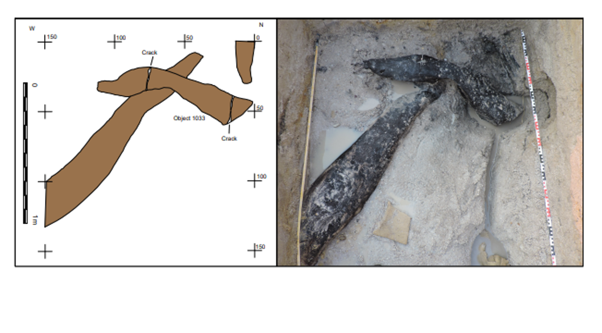 A diagram of the 1.4-metre piece of timber (Deep Roots of Humanity research project and University of Liverpool)