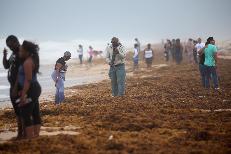 <p>People walk along the beach in advance of Hurricane Irma’s expected arrival in Fort Lauderdale, Fla., Sept. 9, 2017. (Photo: Carlo Allegri/Reuters) </p>