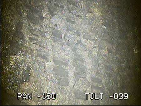 A handout image provided by Tokyo Electric Power (Tepco) from footage taken on January 30, 2017, by a camera inserted under Japan's wrecked Fukushima nuclear plant, shows material found below the damaged No. 2 reactor at the site. Tokyo Electric Power Co. (TEPCO)/Handout via REUTERS