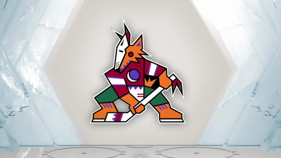 <div>Arizona Coyotes</div>