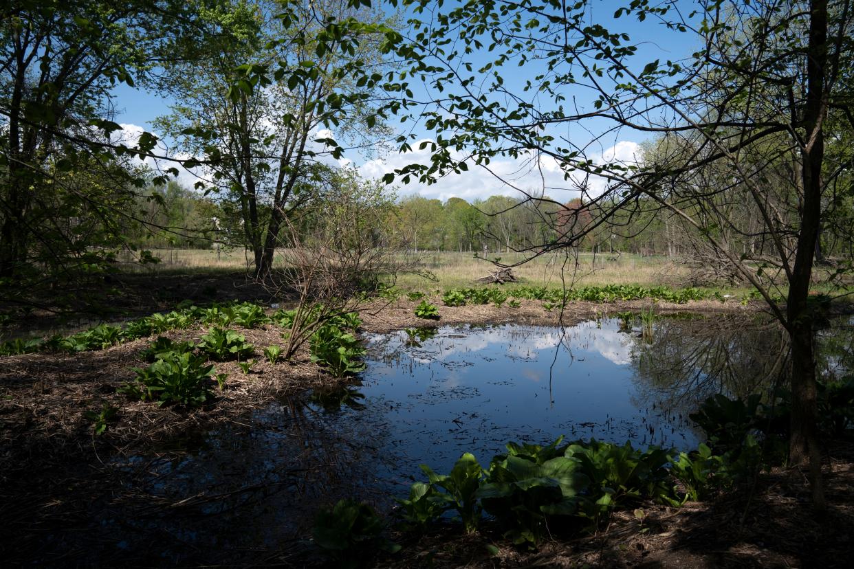 Sections of Teaneck Creek Conservancy reopen after several years of restoration work on Tuesday, April 25, 2023. 