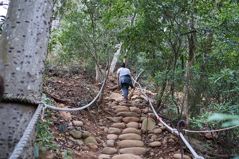 苗栗三義｜火炎山登山步道