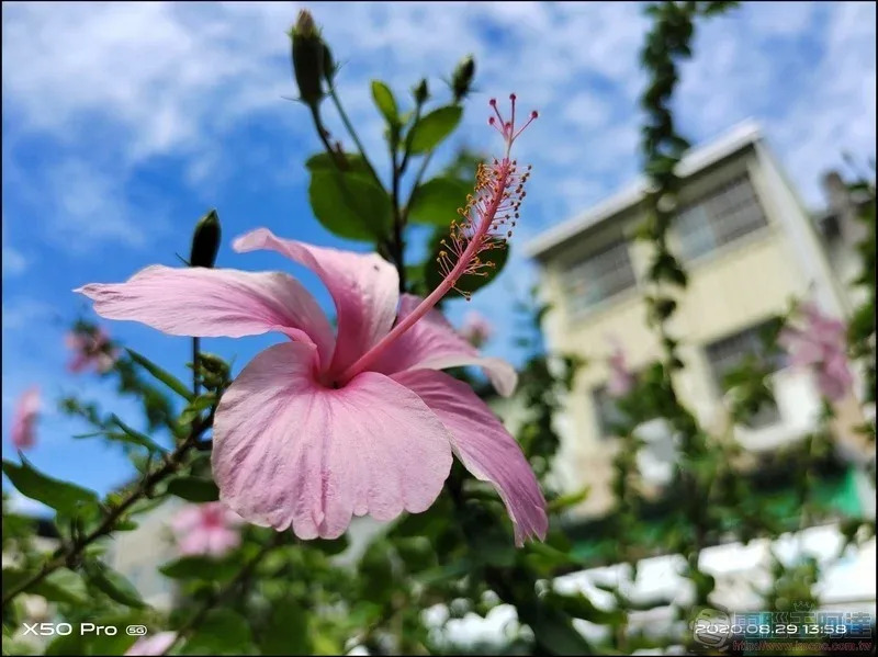 輕巧美型 vivo X50 Pro 開箱評測