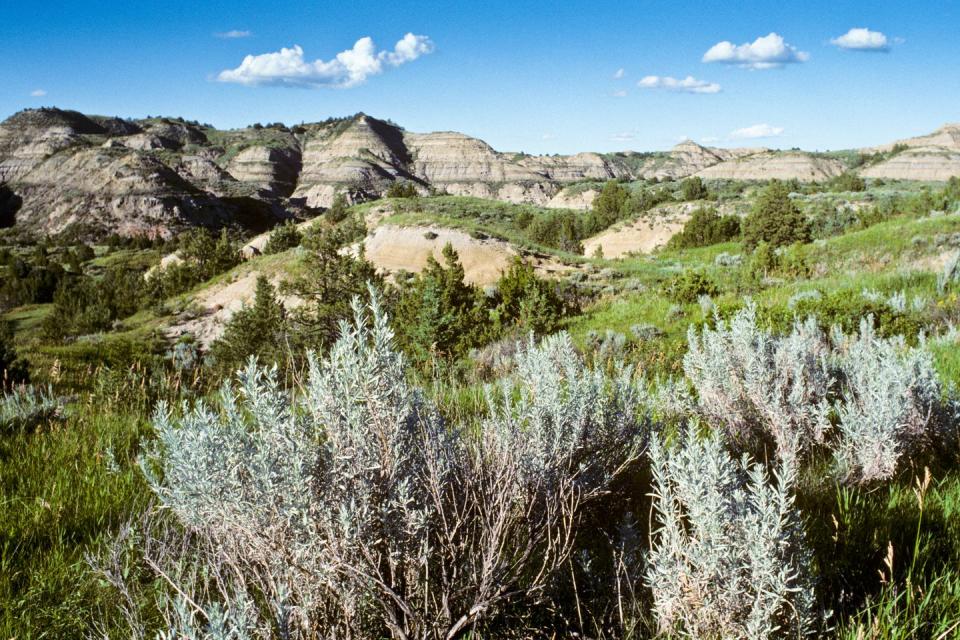 Theodore Roosevelt National Park - North Dakota