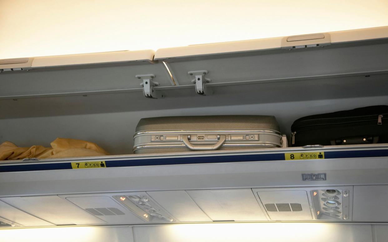 A dog died after being placed in an overhead locker on a United Airlines flight  - The Image Bank