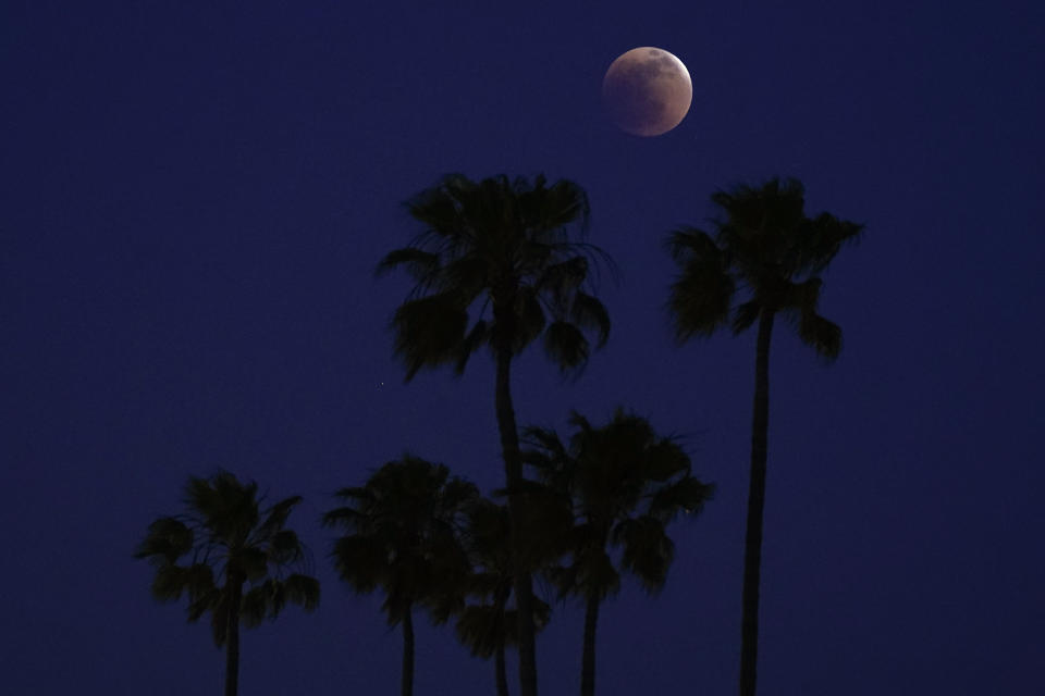 A lunar eclipse shines above palm trees on Sunday, May 15, 2022, in Long Beach, Calif. (AP Photo/Ashley Landis)
