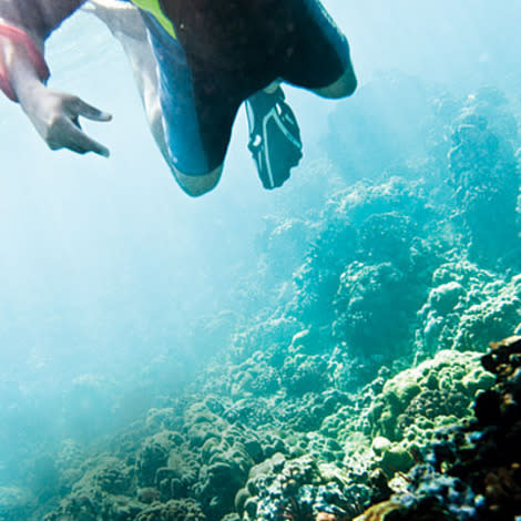 Underwater beauty