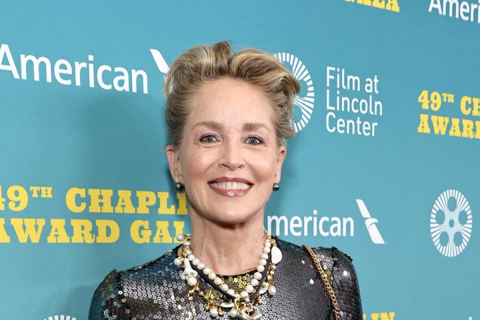 Sharon Stone was among the celebrities to vouch for Spacey, calling the ‘House of Cards’ star ‘a genius’ (Getty Images)
