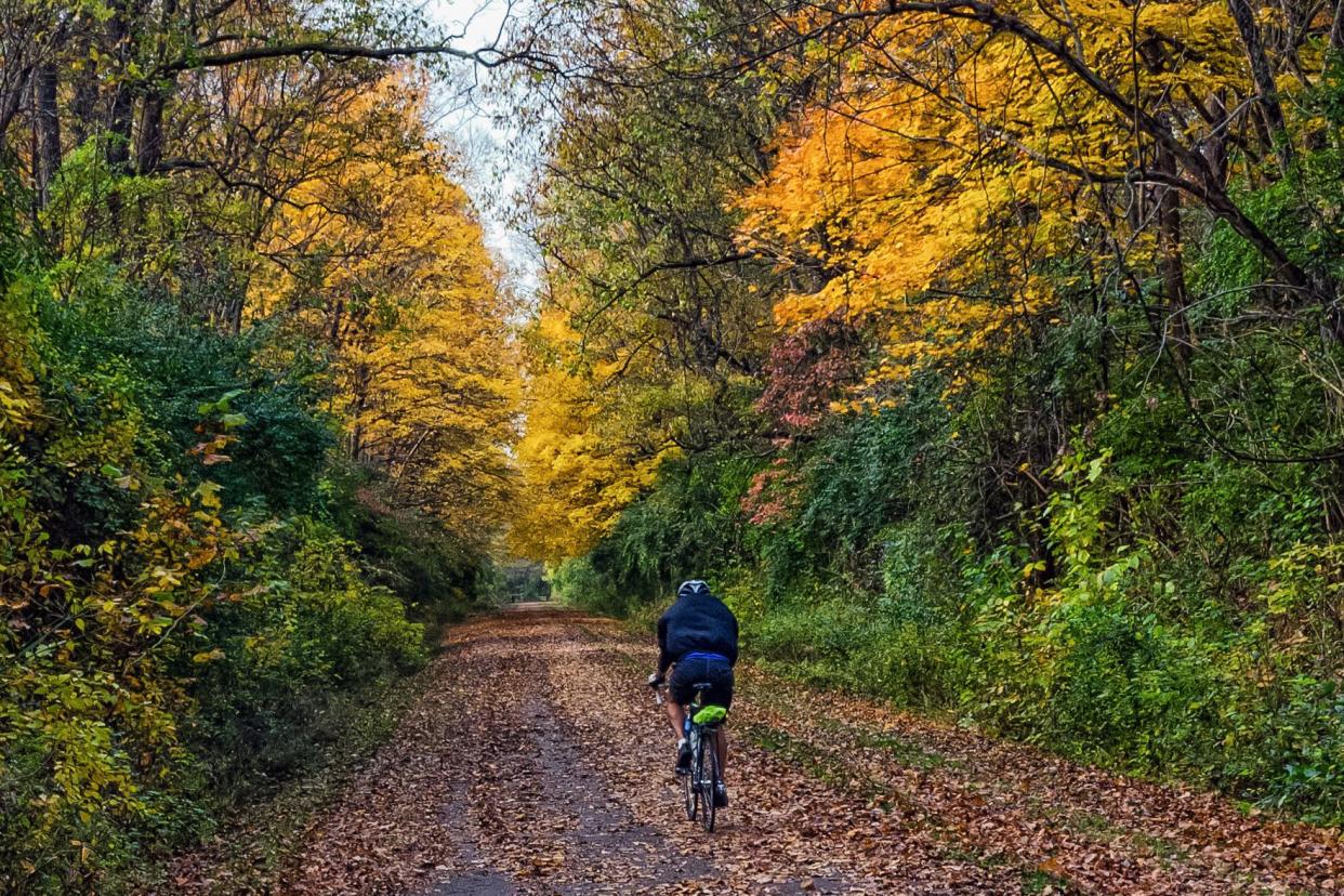 cyclist on little miami river bicycle trail near yellow springs, ohio
