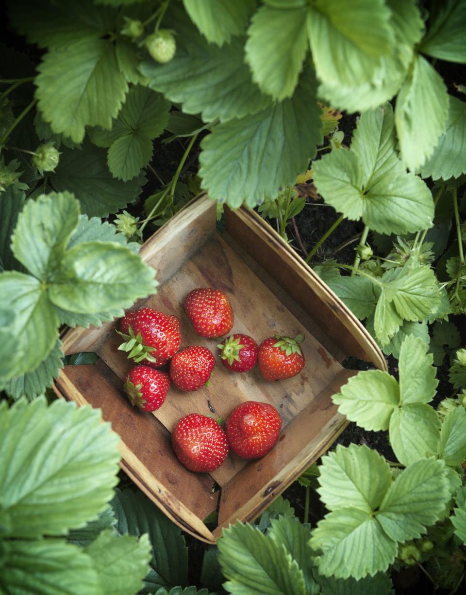 4) Strawberries