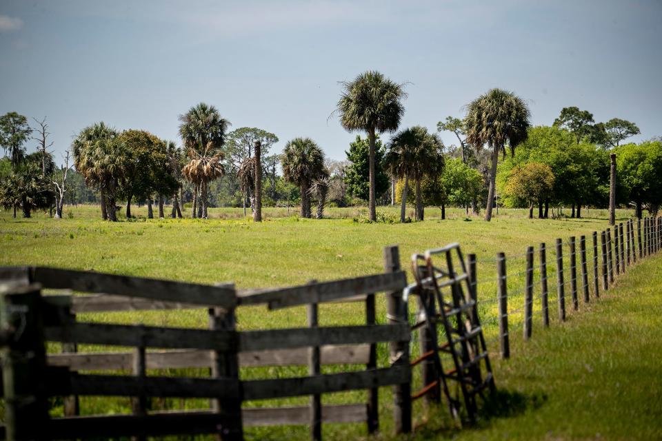 The Creek Legacy Ranch near Port Hatchineha in eastern Polk County.