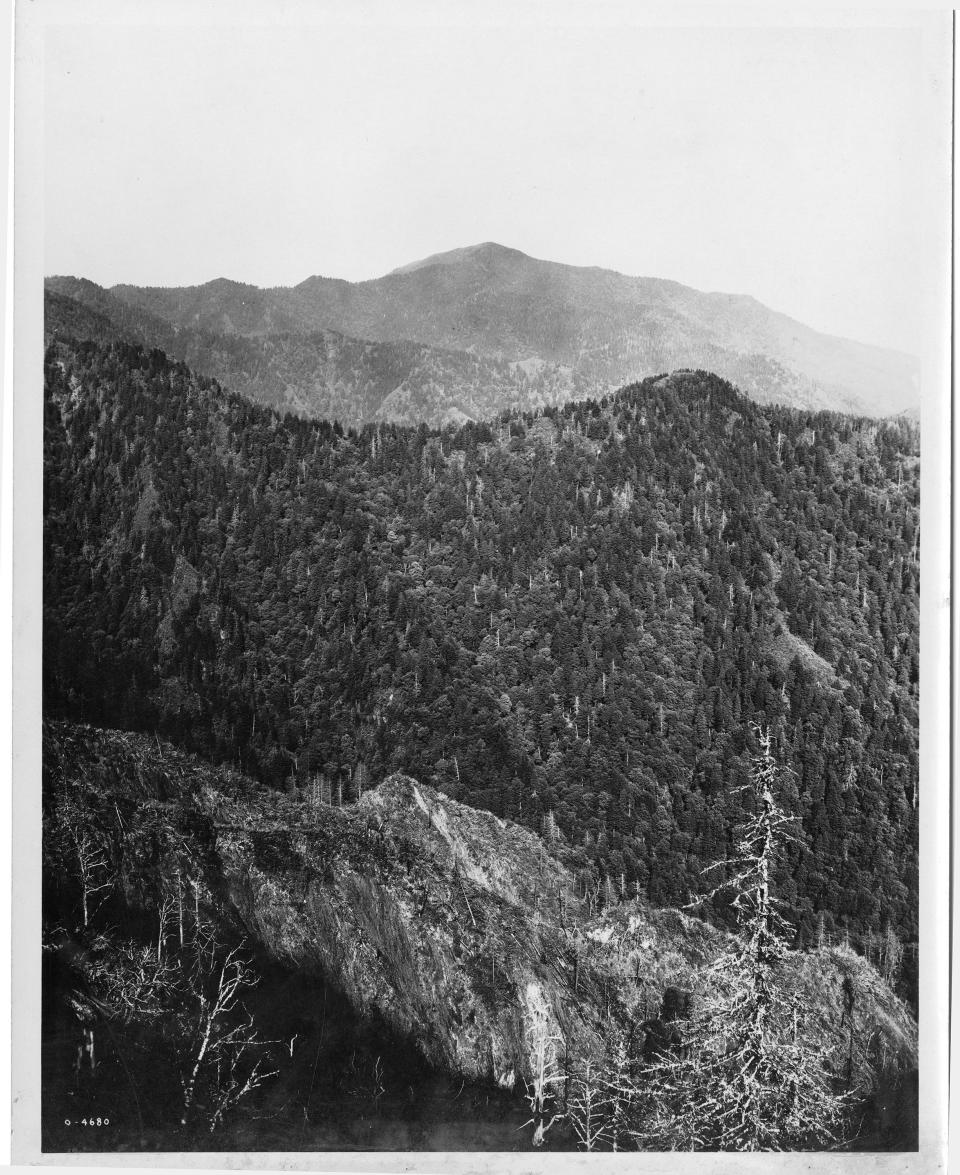 View of Sawtooth and Mt. LeConte from Charlies Bunion by George Masa.