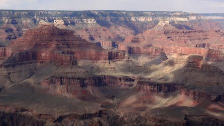 Overall view from the south Rim of the Grand Canyon near Tusayan, Arizona August 10, 2012. REUTERS/Charles Platiau