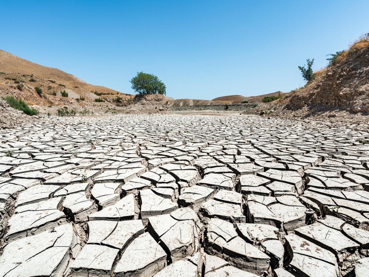 The climate crisis is exacerbating naturally occurring periods of aridity in the south west US and northern Mexico, scientists say: Getty