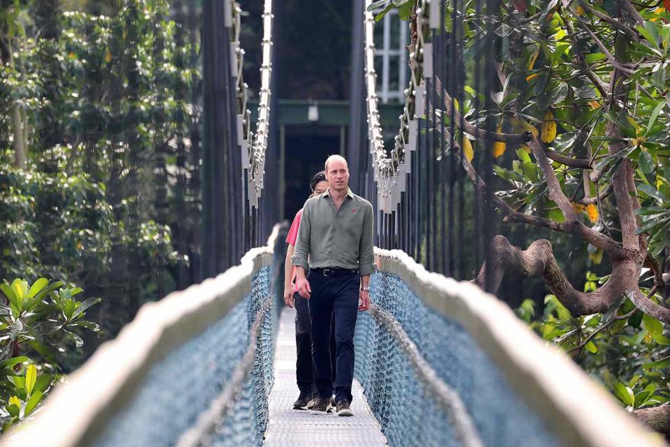 <p>Chris Jackson/Getty Images</p> Prince William and deputy Prime Minister Lawrence Wong at the Tree Top Walk on the last day of his visit to Singapore 