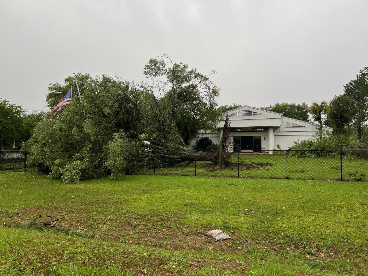 The wind came from the west. It uprooted an oak tree at Leon County School District headquarters and then continued down Pensacola Street to FSU and downtown