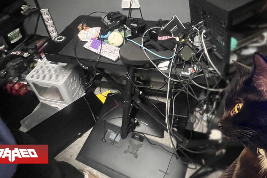 Jugador llega feliz a su hogar a jugar Overwatch después del trabajo, pero encuentra su setup y PC gamer en caos por culpa de su gato