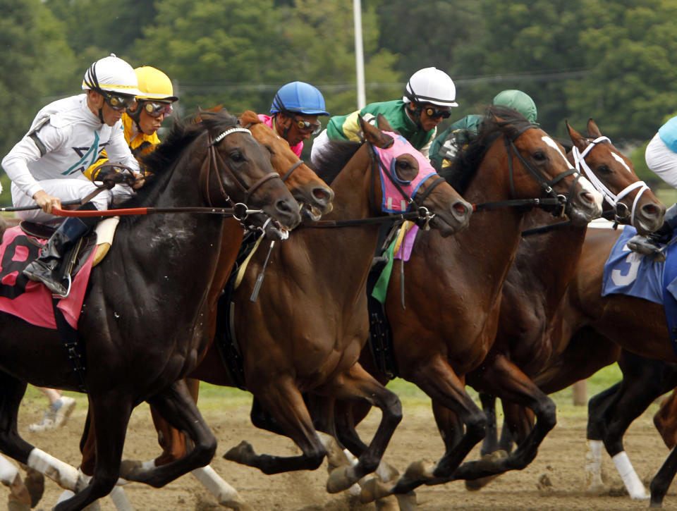 FILE - In this Aug. 21, 2010 file photo, horses start the fifth race at Saratoga Race Course in Saratoga Springs, N.Y. Saratoga Springs' racetrack is still going strong as it marks its 150th anniversary this summer, the centerpiece attraction in a town that's also known for mineral springs, Victorian charm and upscale hotels, shops and restaurants. (AP Photo/Mike Groll, File)