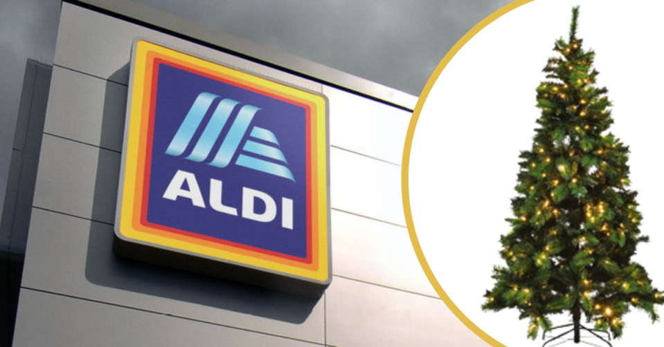 Aldi tree that's just $99