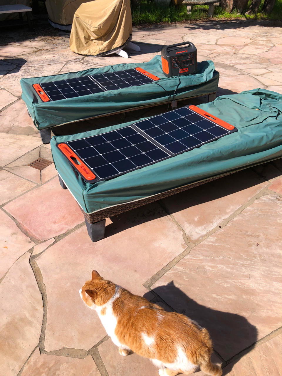 jackery explorer with solar panels and tabby cat | Portable Power Stations