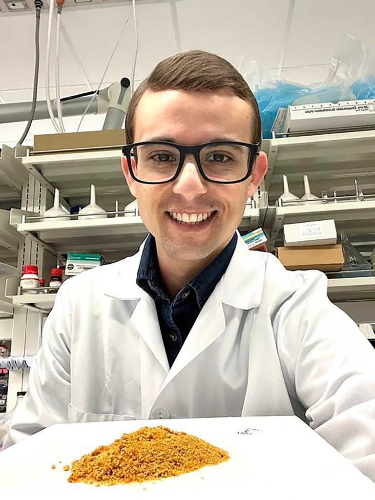 Researcher Renan Danielski found many health benefits from eating sea buckthorn. Renan Danielski, Memorial University of Newfoundland