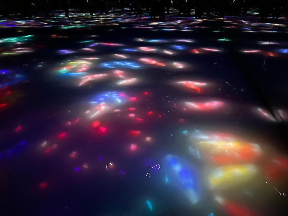 fish lights onto water floor