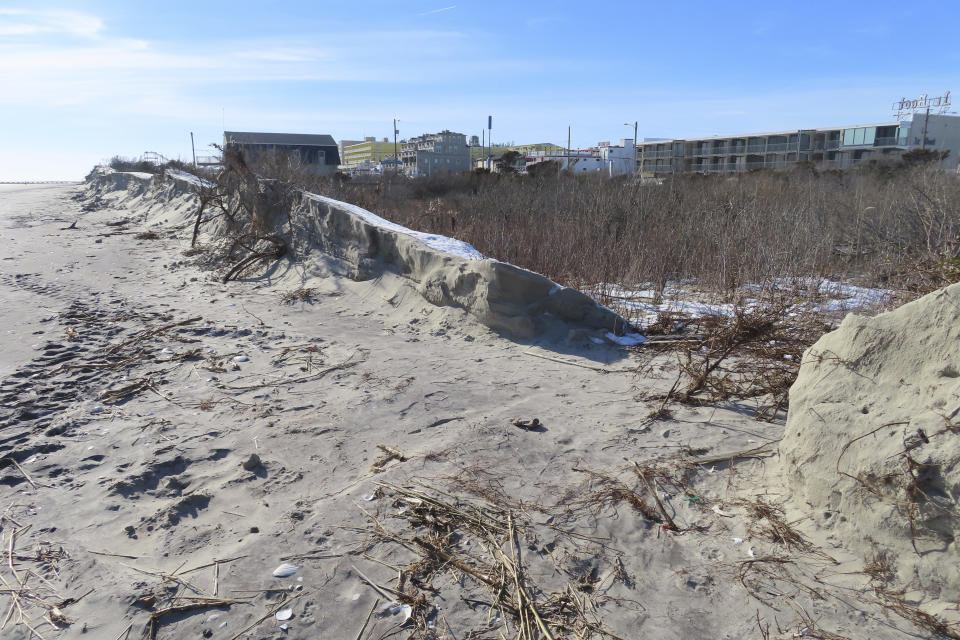 A severely eroded section of sand dune lines the beach in North Wildwood N.J., Jan. 22, 2024. A recent winter storm punched a hole through what is left of the city's eroded dune system, leaving it more vulnerable than ever to destructive flooding as the city and state fight in court over how best to protect the popular beach resort. (AP Photo/Wayne Parry)