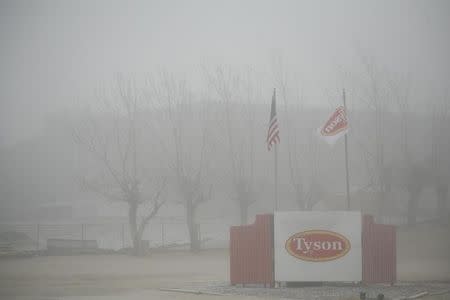 Fog shrouds the Tyson slaughterhouse in Burbank, Washington December 26, 2013. REUTERS/Ross Courtney