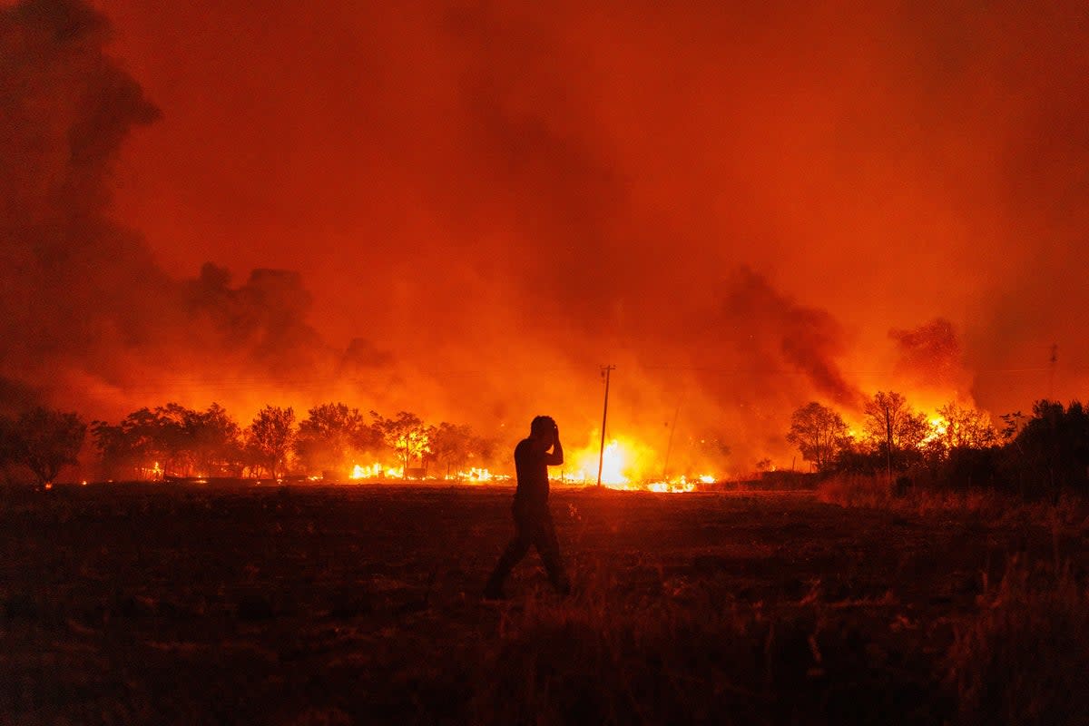 Flames burn a forest during a wildfire in Avantas village, near Alexandroupolis town (AP)