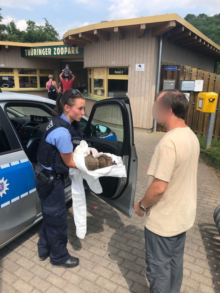 Police took the drunk hedgehogs to a zoo to sleep off their hangovers (Polizei Thueringen)