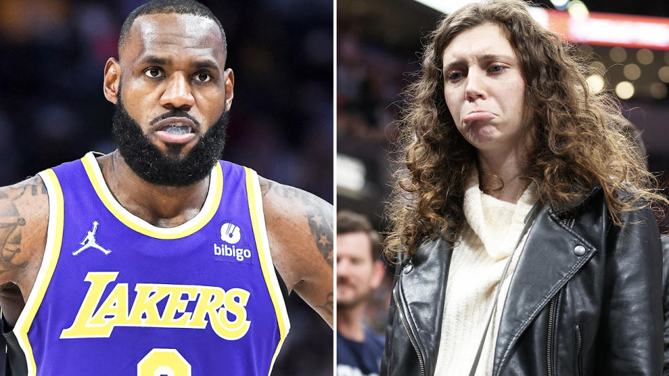 LeBron James and the fan, pictured here during the Lakers' clash with the Pacers.