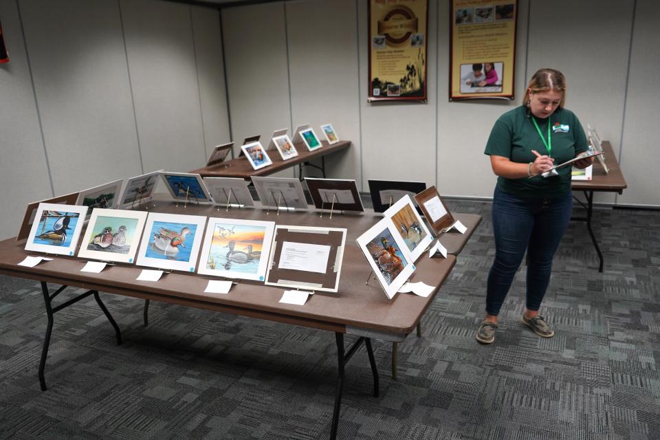 Alissa Kakatsch of the Department of Natural Resources tabulates scores during judging in the 2024 Wisconsin wildlife stamp contests.   Judging for the state ring-necked pheasant, waterfowl and wild turkey stamps was held Aug. 26 at the Waterfowl Hunters Expo in Oshkosh.