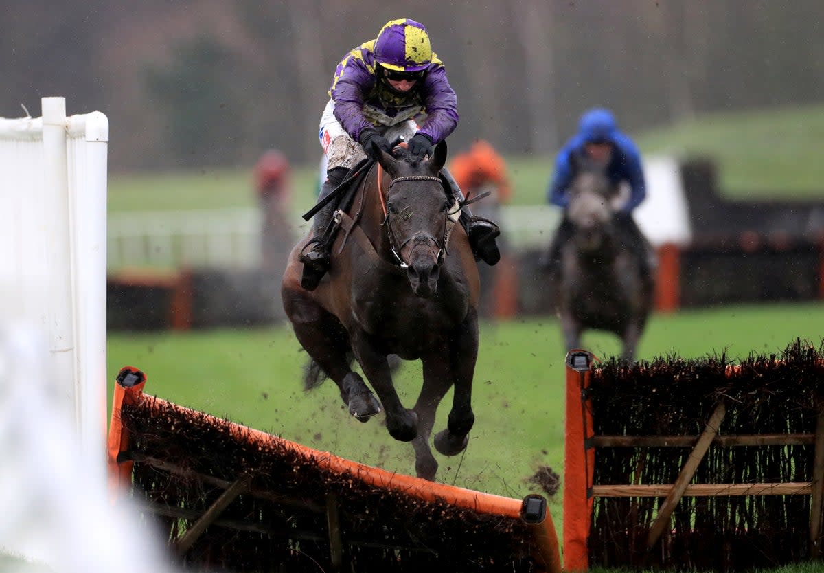 Malinello, pictured racing in December 2020, died on the first day at Cheltenham (Getty Images)