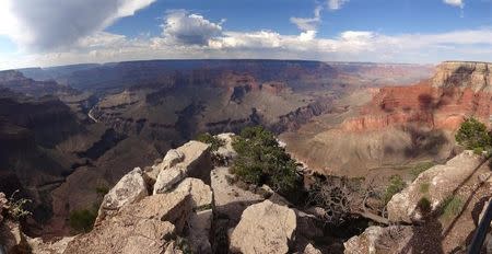 Overall view from the south Rim of the Grand Canyon near Tusayan, Arizona August 10, 2012. REUTERS/Charles Platiau